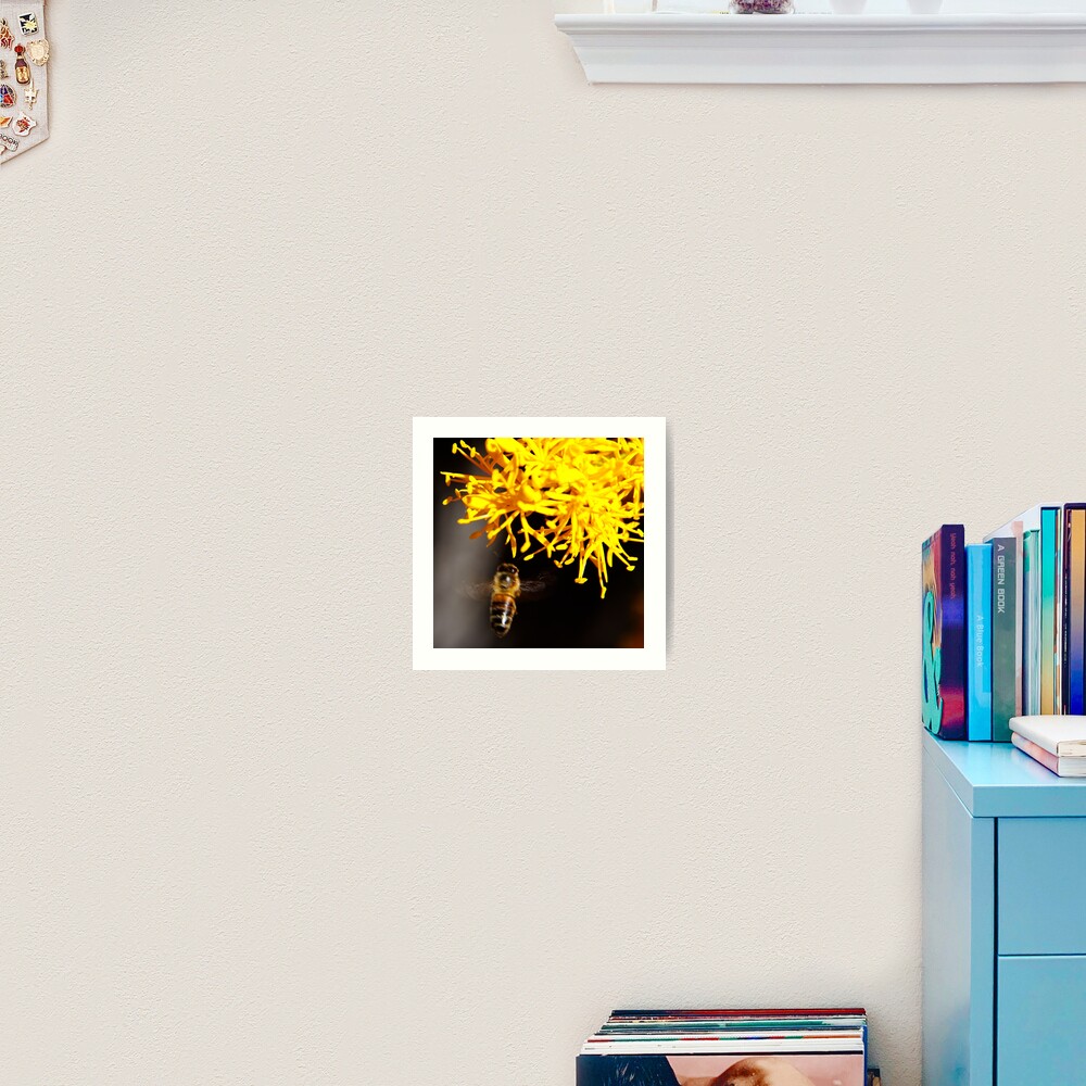 On approach Art Print