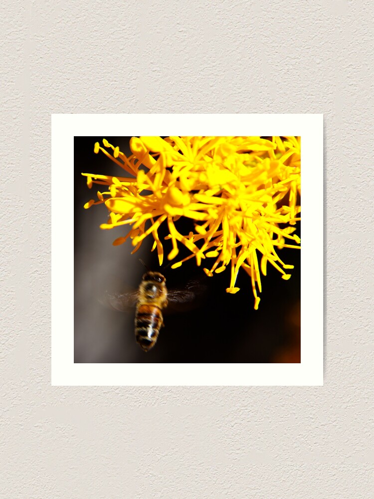 Alternate view of On approach Art Print
