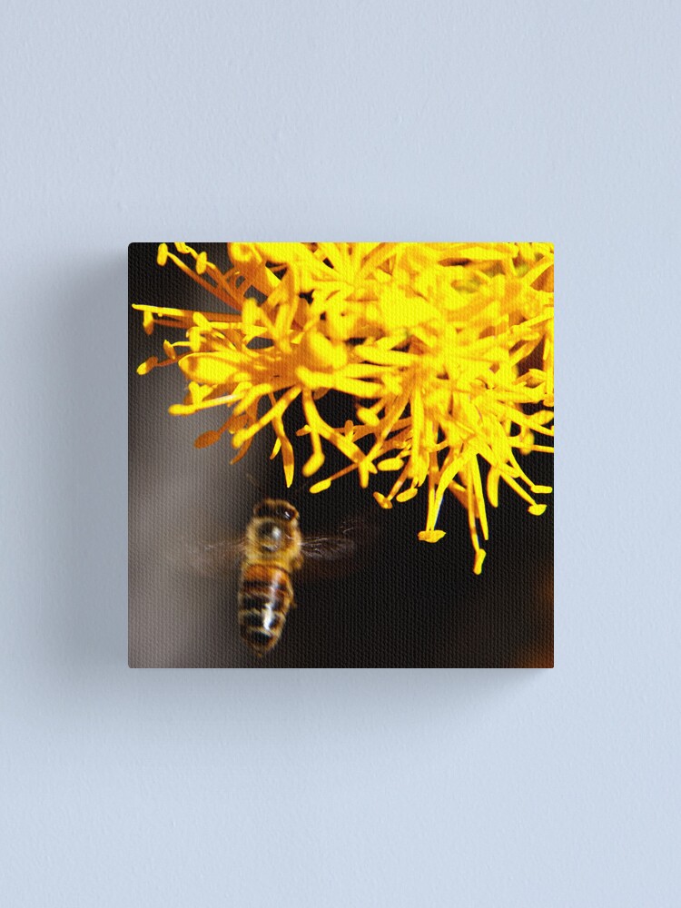 Alternate view of On approach Canvas Print