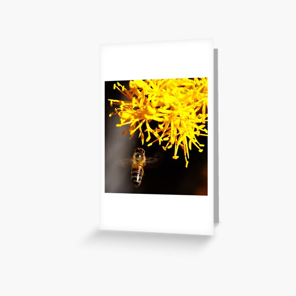 On approach Greeting Card