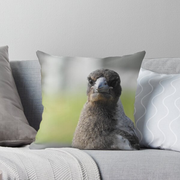 Item preview, Young Australian Magpie designed and sold by cryophytum.