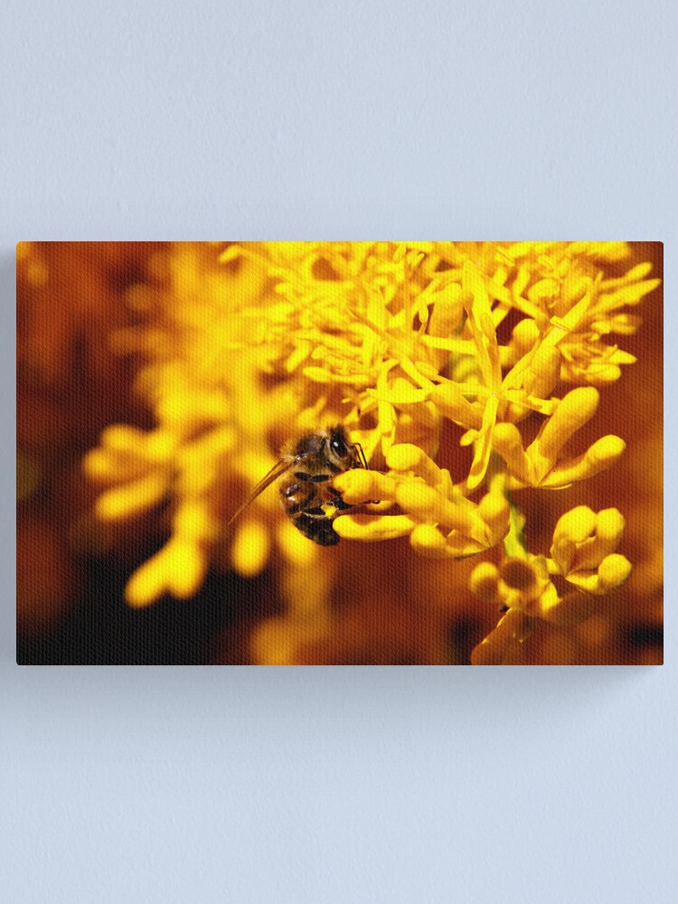 Alternate view of Bee on christmas tree Canvas Print