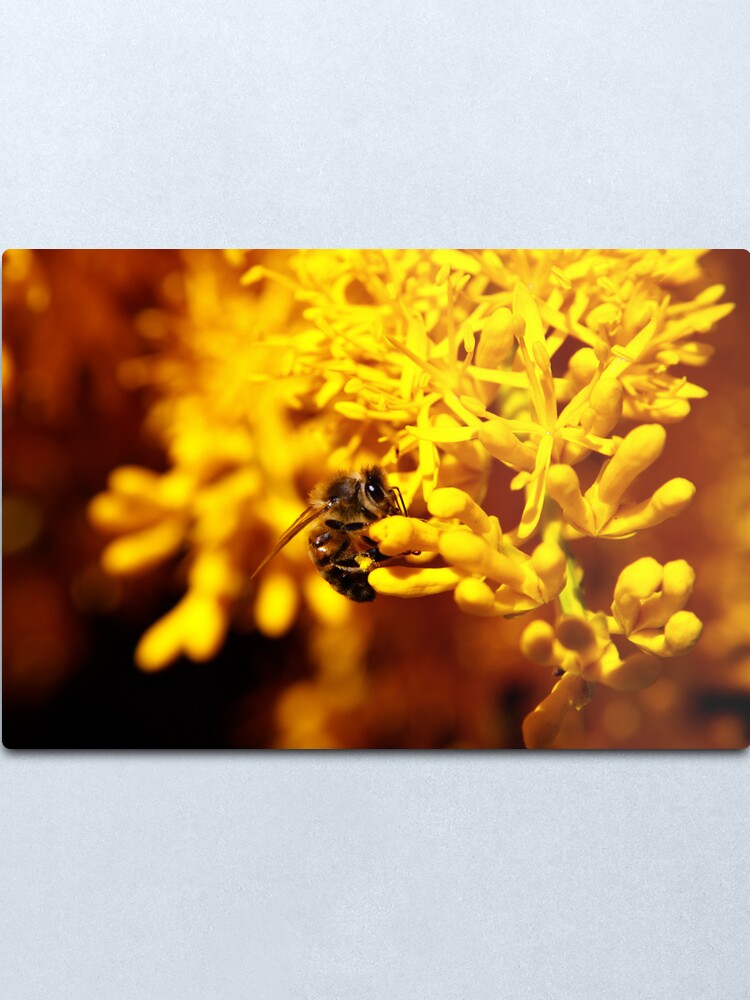 Alternate view of Bee on christmas tree Metal Print