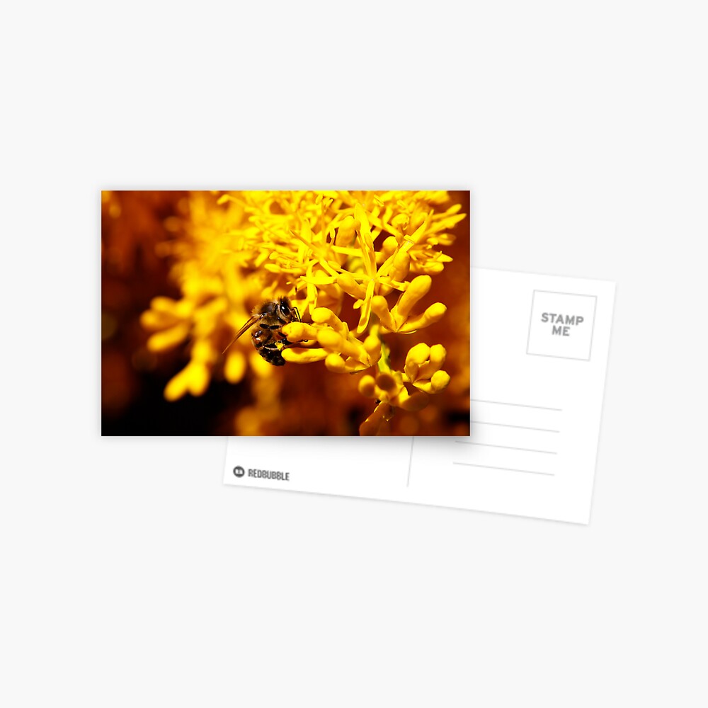 Item preview, Postcard designed and sold by mistered.