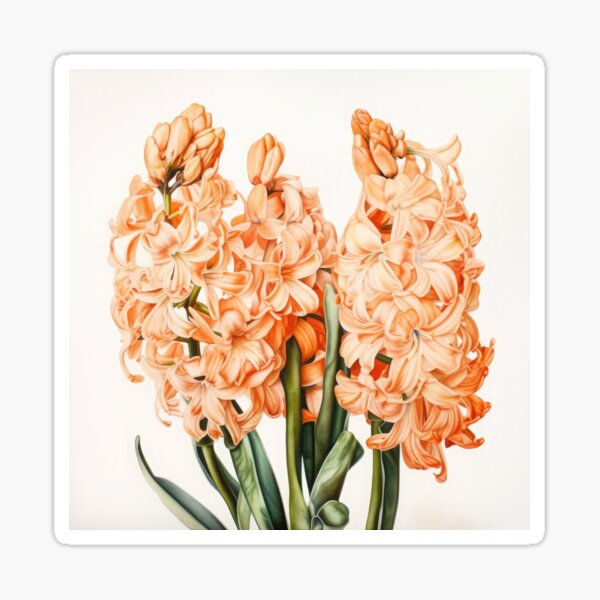 Aperçu de l'œuvre Apricot Hyacinth  créée et vendue par Vanover Designs.
