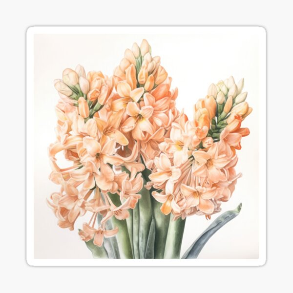 Aperçu de l'œuvre Apricot Hyacinth  créée et vendue par Vanover Designs.