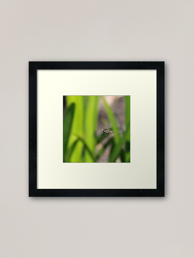 Alternate view of Hoverfly in flight Framed Art Print