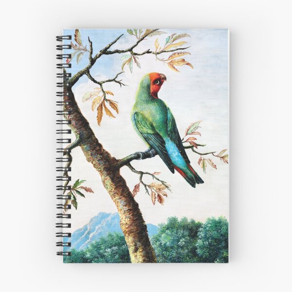 Item preview, Estudio de aves de George Edwards (1694-1773), pintura vintage designed and sold by Meliara Prints.