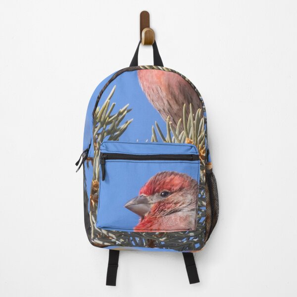 Item preview, A Red-headed Finch On A Spruce Tree Branch designed and sold by FreelanceJim.