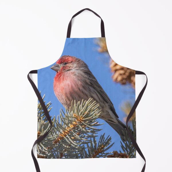 Item preview, A Red-headed Finch On A Spruce Tree Branch designed and sold by FreelanceJim.