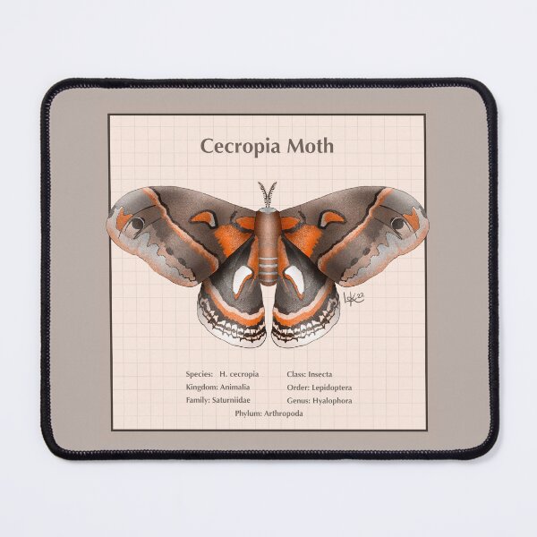 Item preview, Cecropia Moth x designed and sold by LowesaKay.