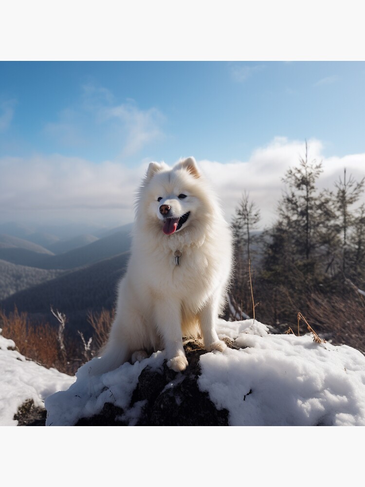 Samoyed on top of mountain in winter | Sticker