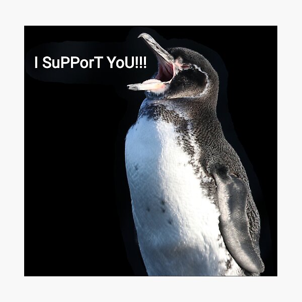 Item preview, Galapagos Penguin supports you and your efforts (Black background) designed and sold by SBPenguins.