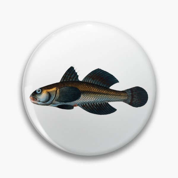 Item preview, Gobio azul Gobius Jozo Pez vintage designed and sold by AmethystMurad.