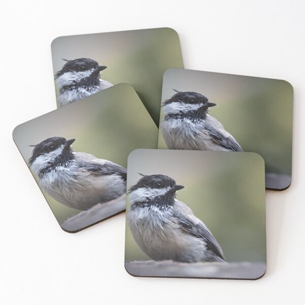 Item preview, Closeup of a Black-Capped Chickadee designed and sold by LevyAmanda.