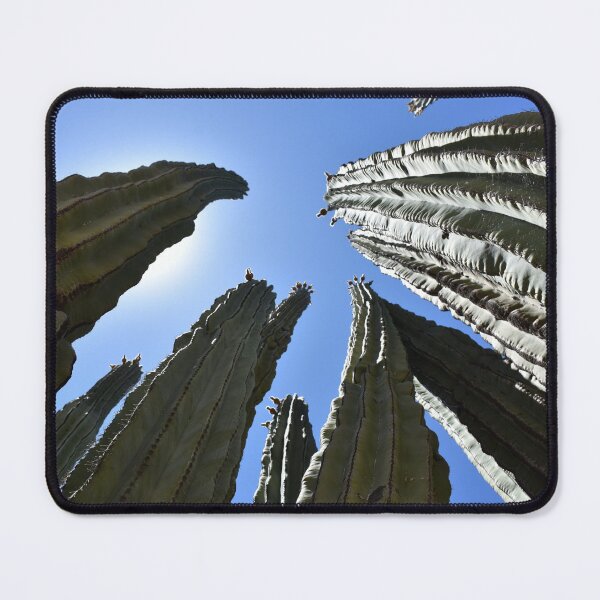 Item preview, HD Cactus designed and sold by VossenAquatics.