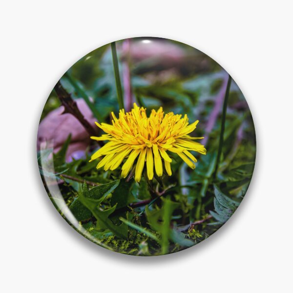 Item preview, The Dandelion - Taraxacum - dandelion designed and sold by Ruhrpottpicture.