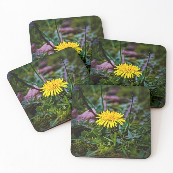 Item preview, The Dandelion - Taraxacum - dandelion designed and sold by Ruhrpottpicture.