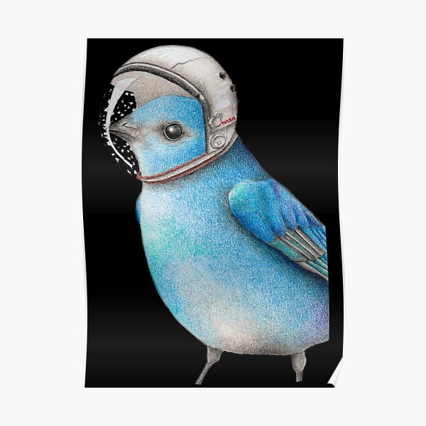 Fly me to the moon Poster