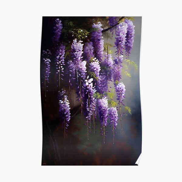 Japanese Purple Hanging Wisteria Poster
