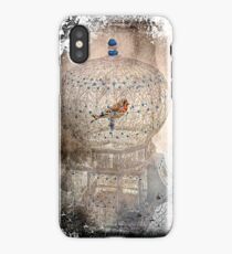 Bird in a gilded cage iPhone Case