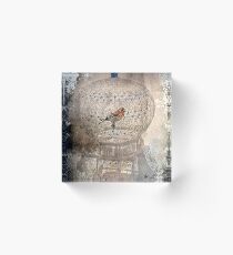 Bird in a gilded cage Acrylic Block