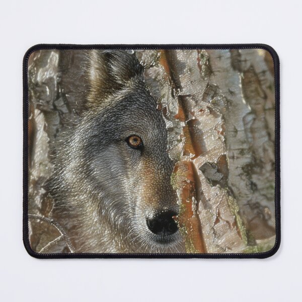 Item preview, Close Encounter Wolf designed and sold by Collin Bogle.