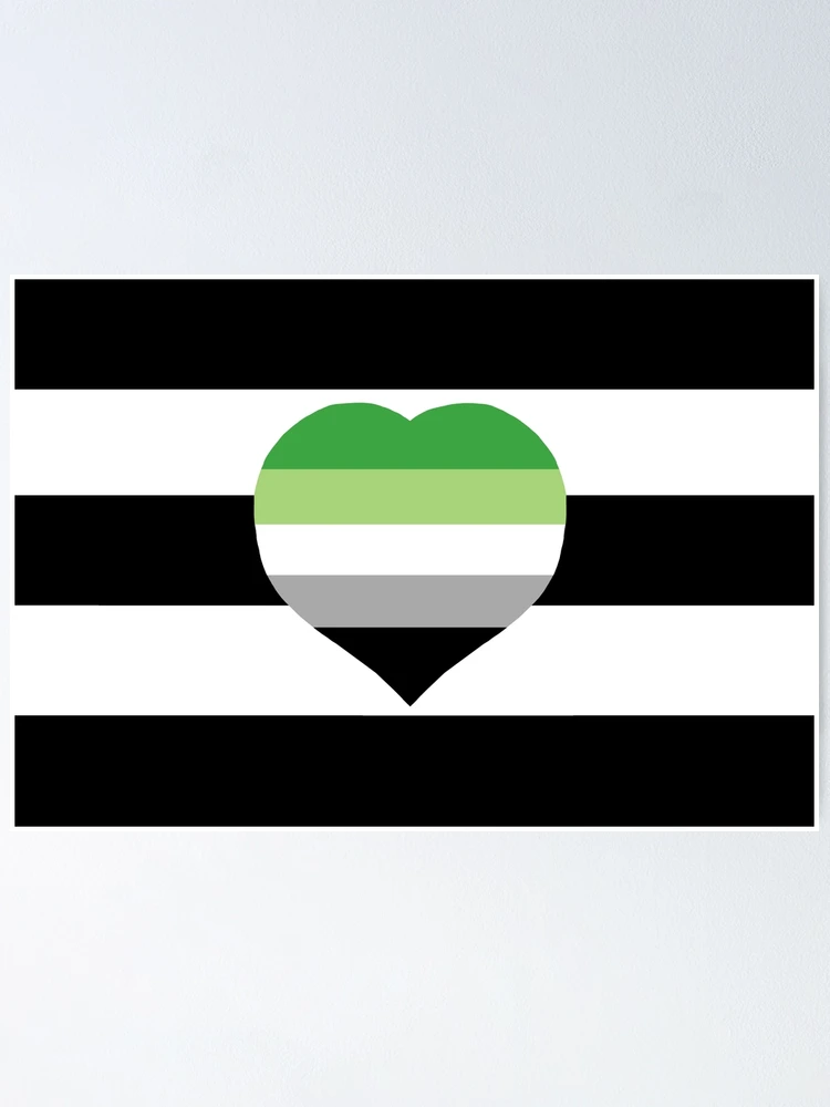 Extra Large Aromantic Flag – TOKYO RAINBOW PRIDE