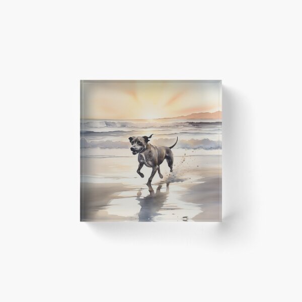 Watercolor Painting of Dog Running on Beach Acrylic Block