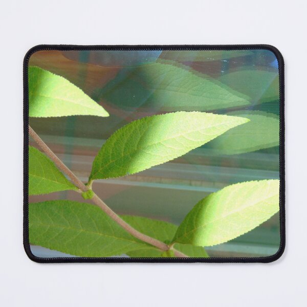 Item preview, Green leaves designed and sold by ART22.