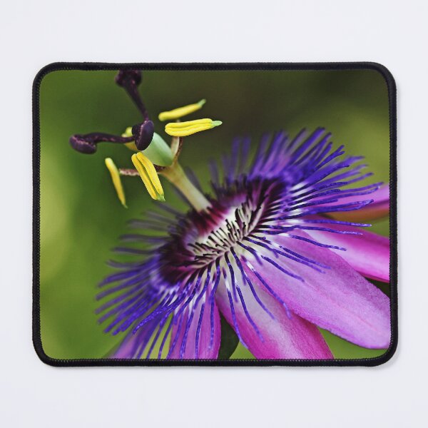 Item preview, Purple Passion designed and sold by Debbie Oppermann.