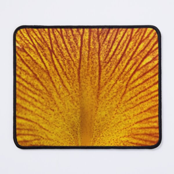 Item preview, Iris Fire 2 designed and sold by SeeGodAroundUs.