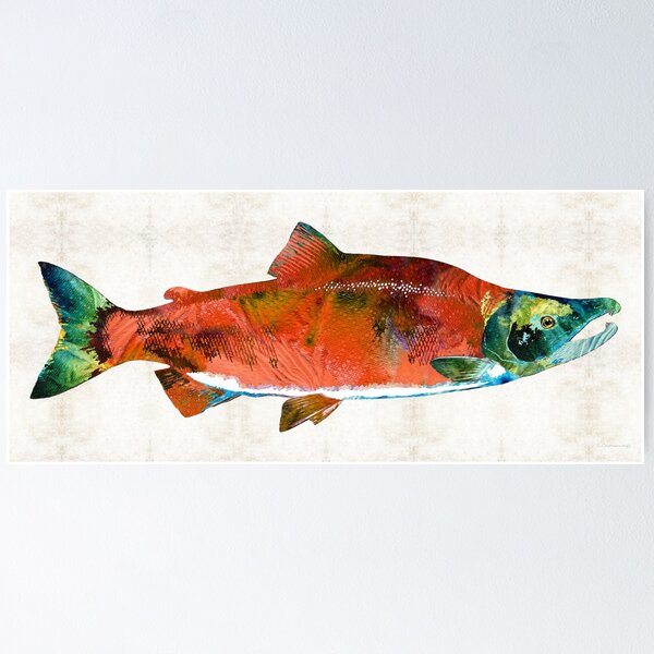 Red Sockeye Salmon Fish Fishing Art Poster for Sale by Sharon Cummings