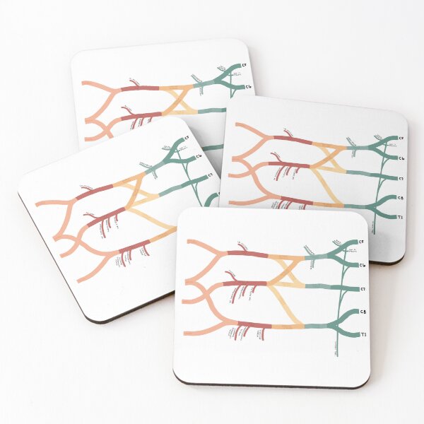 Item preview, Brachial plexus designed and sold by saramud20.