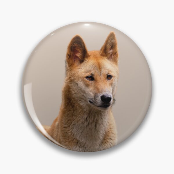 Item preview, Dingo Dog designed and sold by RainbowSpinkle.