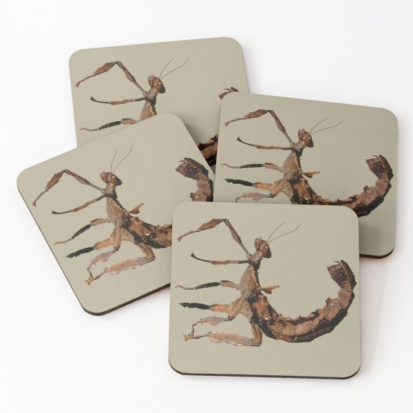 Item preview, Scorpion Stick Insect designed and sold by RainbowSpinkle.