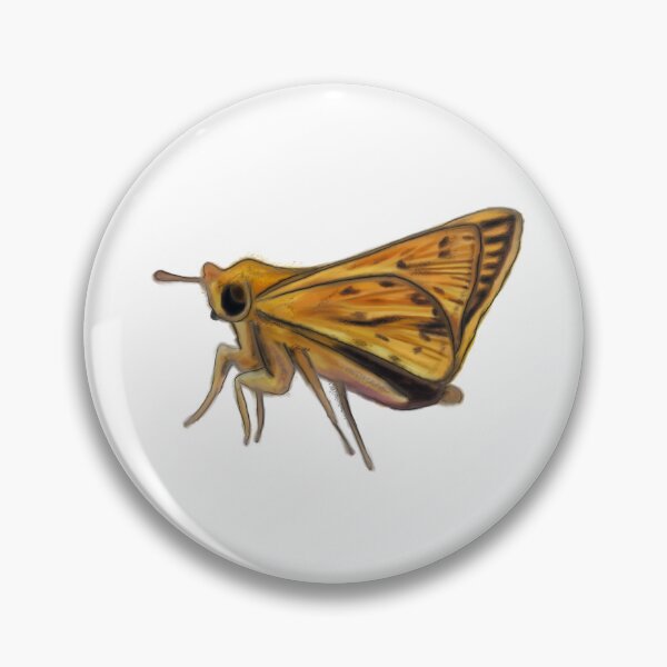 Item preview, Fiery Skipper Butterfly (Hylephila phyleus) Nature Journal Illustration  designed and sold by ModelOrganism.
