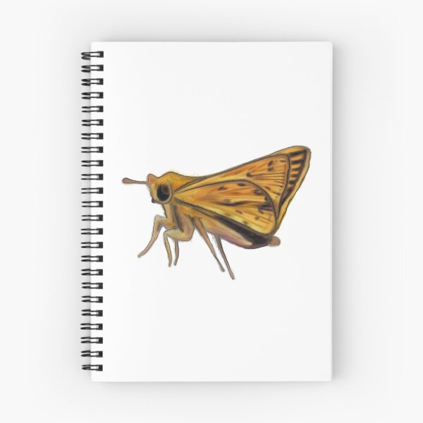 Item preview, Fiery Skipper Butterfly (Hylephila phyleus) Nature Journal Illustration  designed and sold by ModelOrganism.