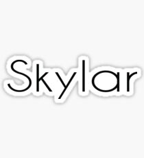 Name Skylar / Inspired by The Color of Money Sticker