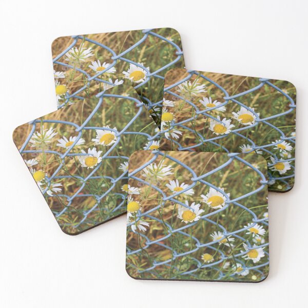 Item preview, Imprisioned Daisies designed and sold by RoseyElisabeth.