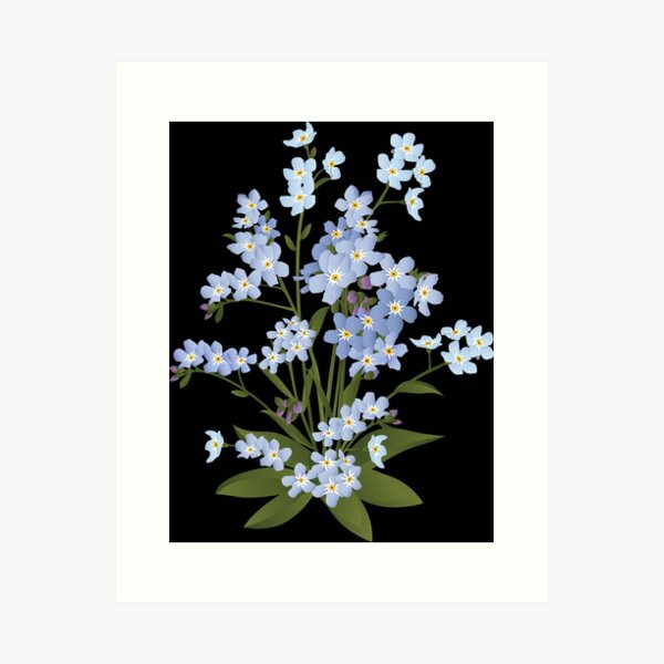 Forget-me-nots- Alaska's State Flower- Gouache art print