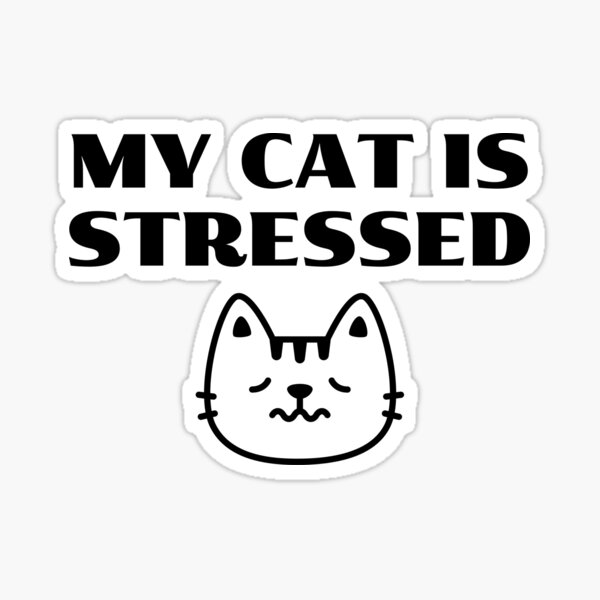 Dont Stress Me Mweot /cat Lovers/ Badge Reel Retractable Funny Humor 