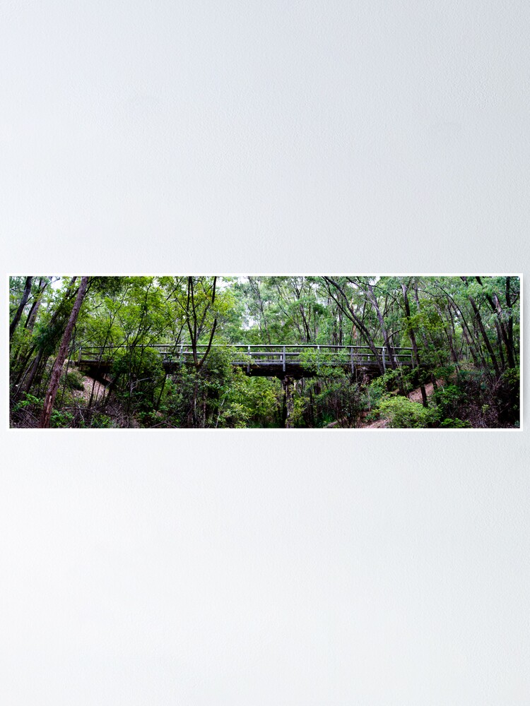 Alternate view of Old railway bridge Poster