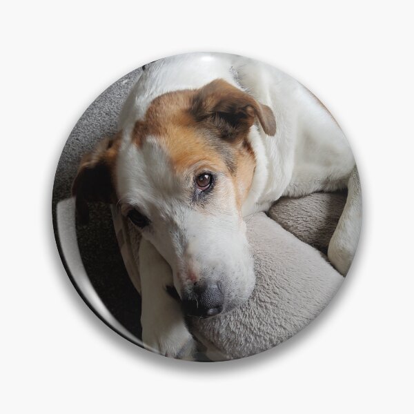 Item preview, Cute dog photo  designed and sold by jeguise.