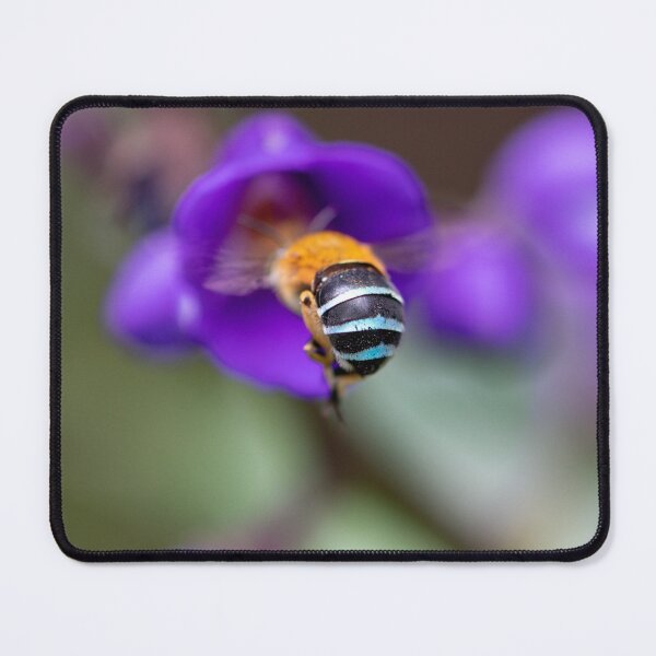Item preview, Busy Bee Bum 4 designed and sold by Jacquiamber.