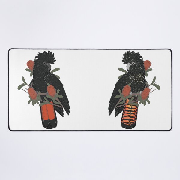 Item preview, Female and male Red tailed black cockatoo designed and sold by SnowpeaSoph.