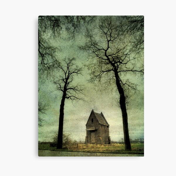 Fairy tale 5 Canvas Print
