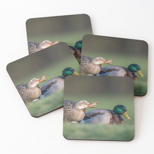 Item preview, Mallards - Scenes from a Marriage designed and sold by Ingo Gerlach.