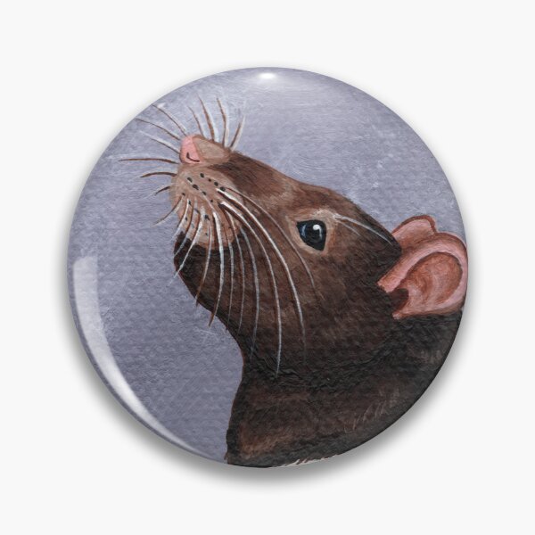 Item preview, Agouti Hooded Rat designed and sold by WolfySilver.