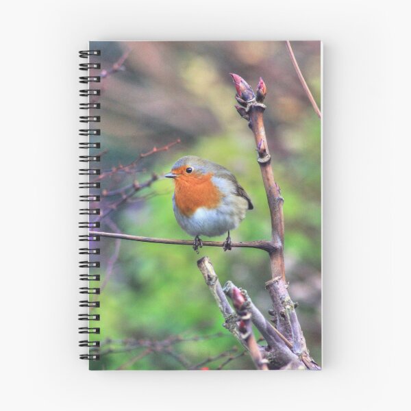 Item preview, Garden Robin designed and sold by Vicki Spindler (VHS Photography).
